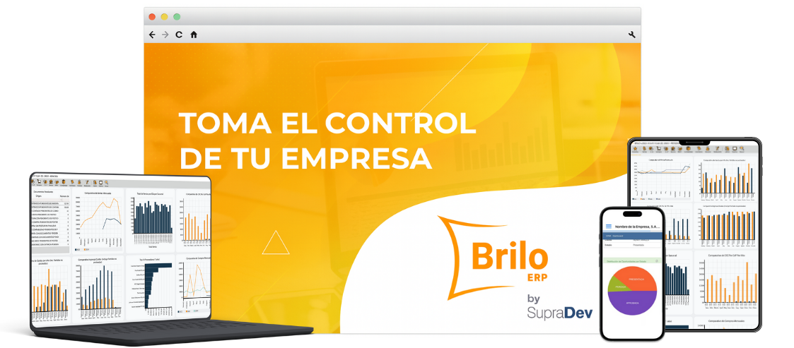 BRILO ERP - El mejor software ERP para empresas en El Salvador